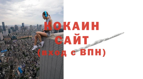 шишки Волоколамск
