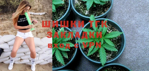 ГАЛЛЮЦИНОГЕННЫЕ ГРИБЫ Вязьма