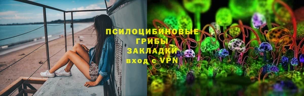 ГАЛЛЮЦИНОГЕННЫЕ ГРИБЫ Бронницы