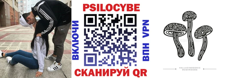 Галлюциногенные грибы Cubensis Елизово