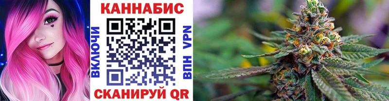 Каннабис план Елизово